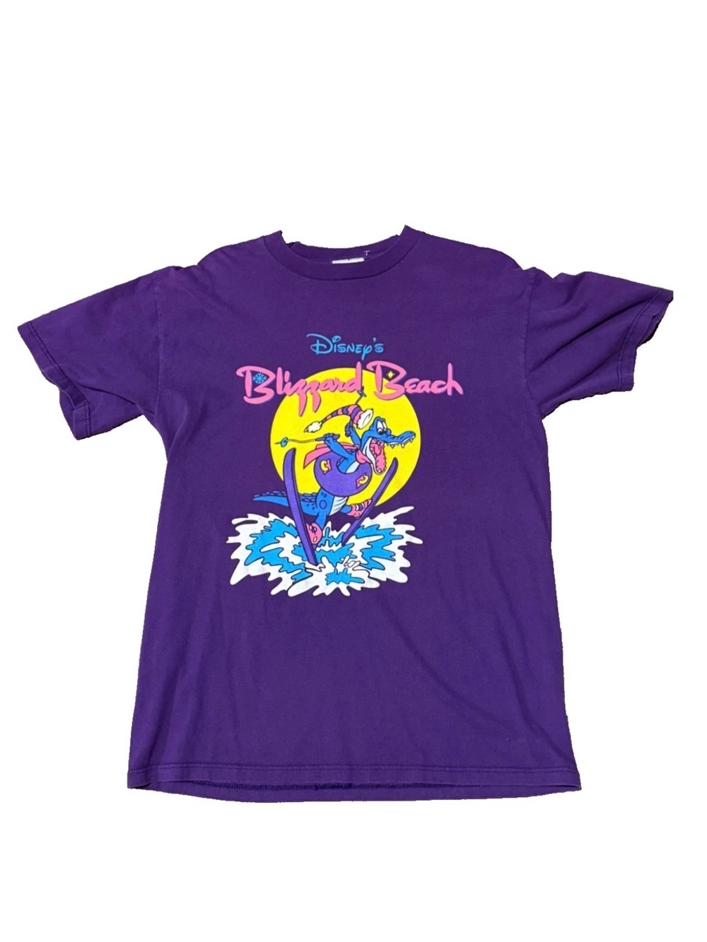 Vintage Disney's Blizzard Beach Graphic T-Shirt Purple Size M